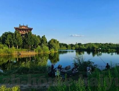 18065足球彩票比分-探秘18065期足球彩票比分，策略、数据与幸运的交响曲