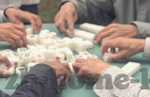秘鲁世界杯选拔赛战绩-秘鲁队在世界杯预选赛中的征程，挑战与荣耀