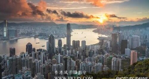 玩不赢森林舞会-玩不赢森林舞会