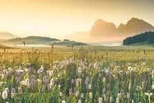 网上足球比分真实吗-网上足球比分真实吗，探寻数字背后的真相